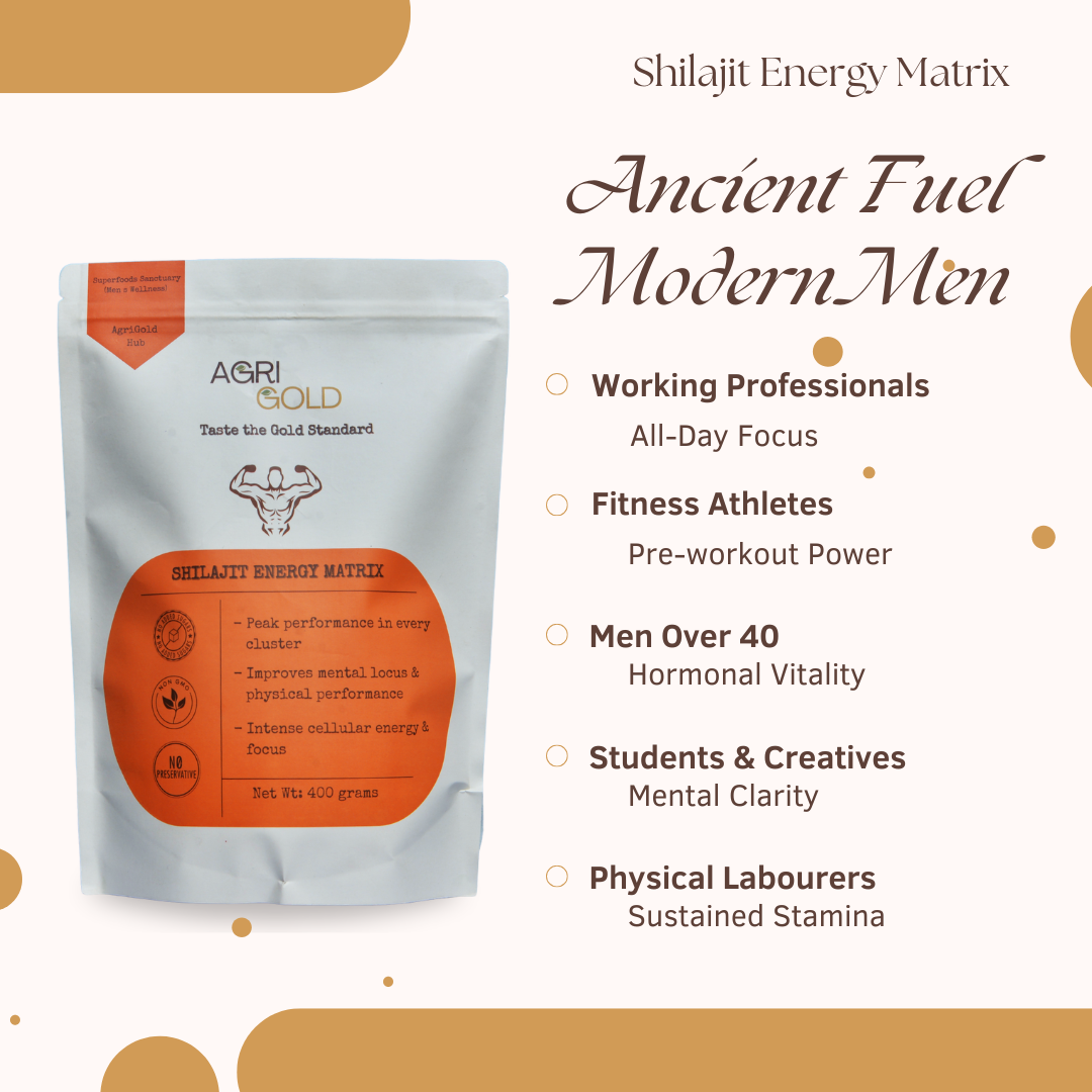 Shilajit Energy Matrix