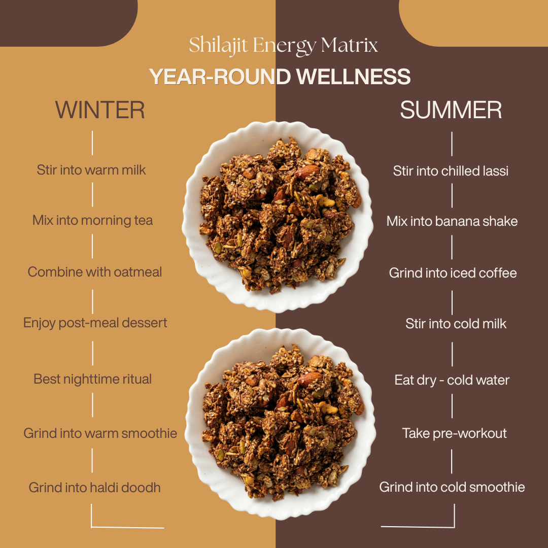 Shilajit Energy Matrix