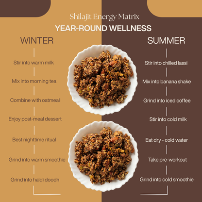 Shilajit Energy Matrix