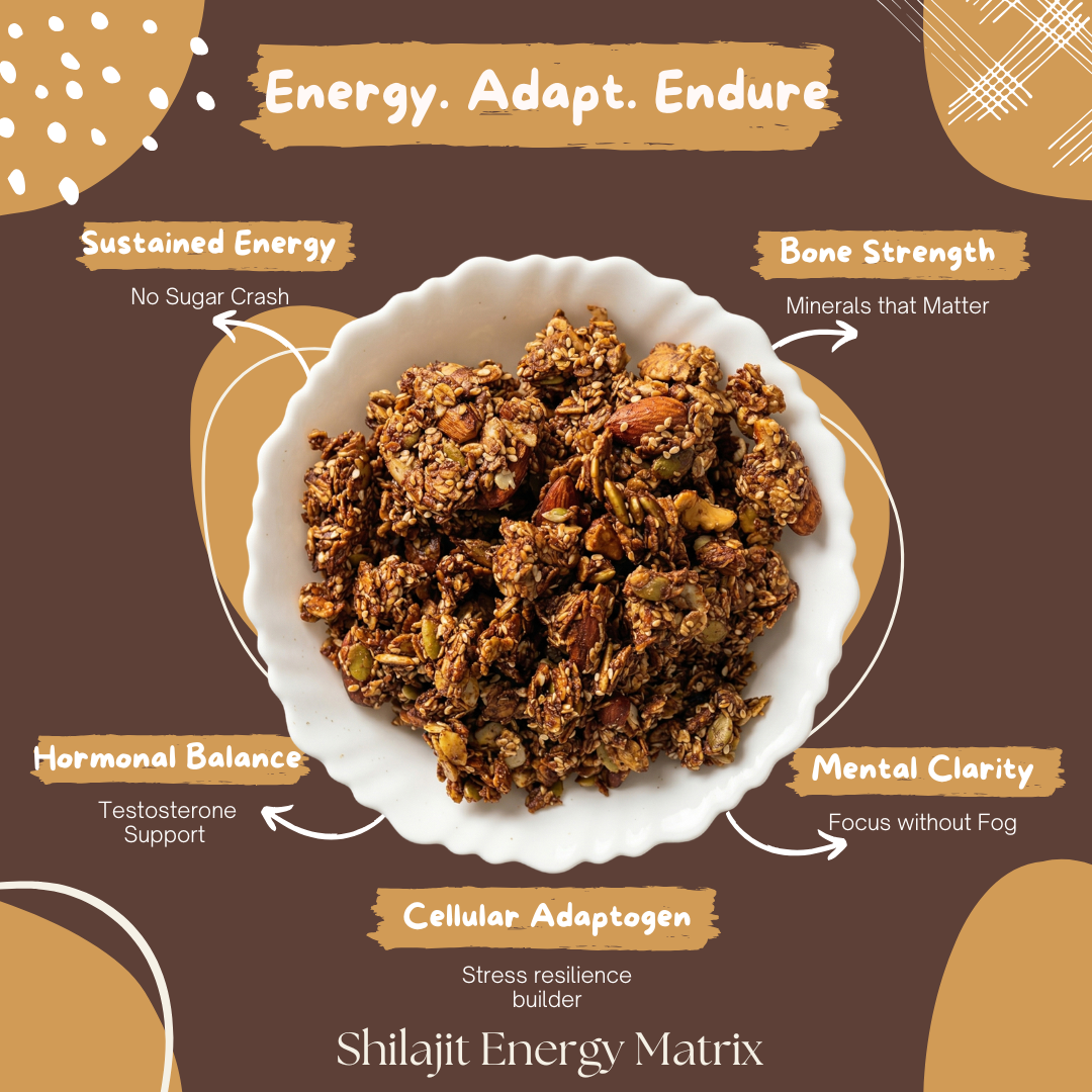 Shilajit Energy Matrix