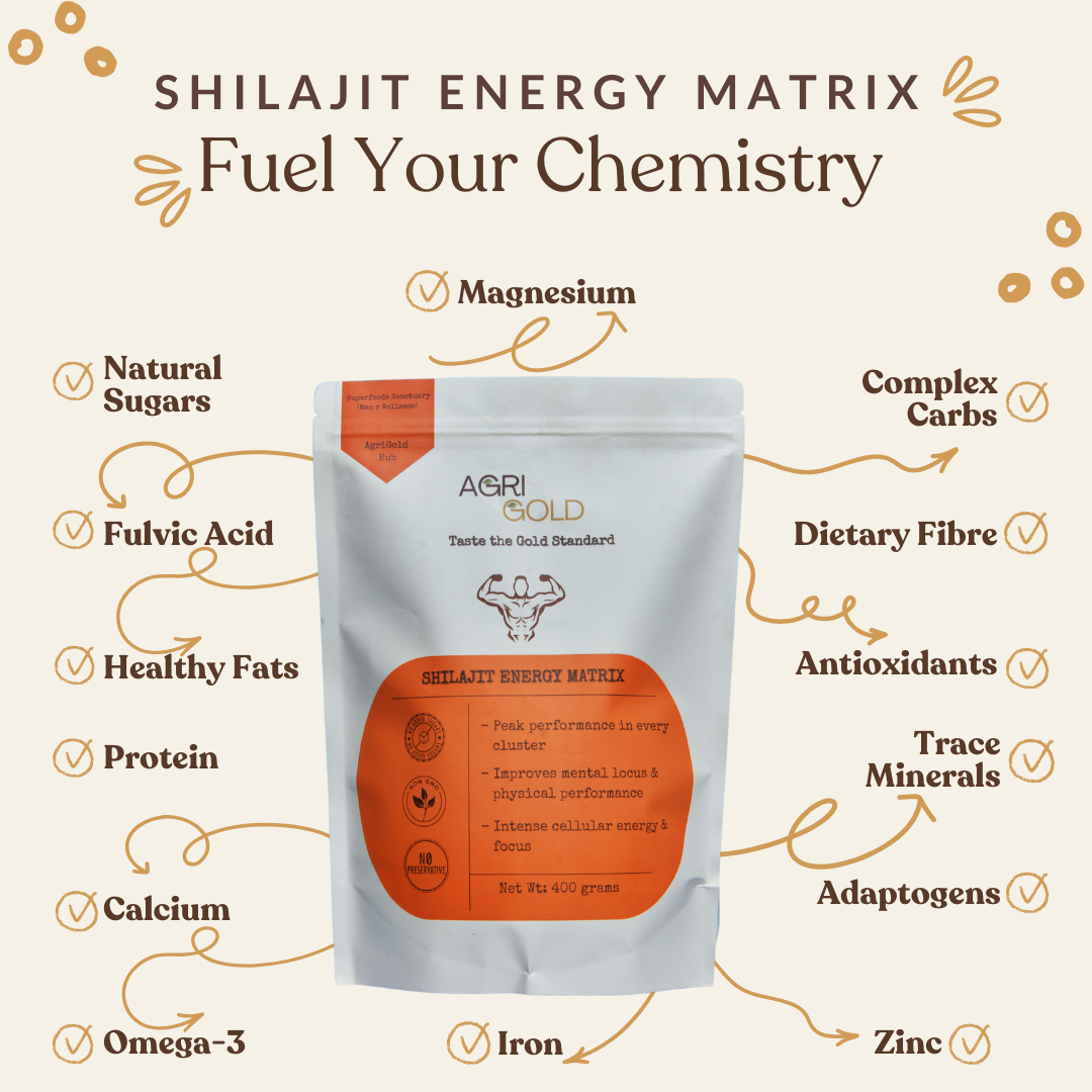 Shilajit Energy Matrix