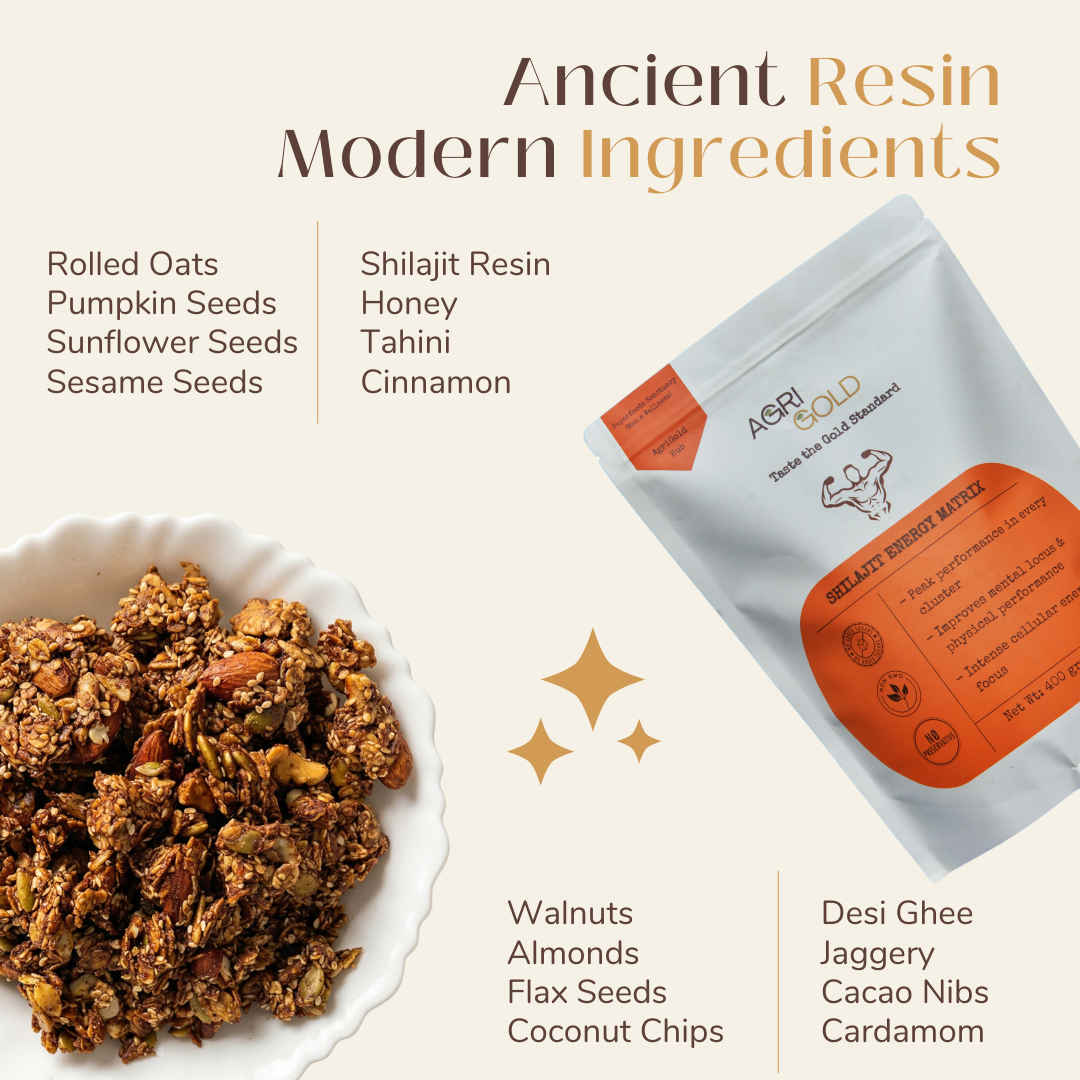 Shilajit Energy Matrix