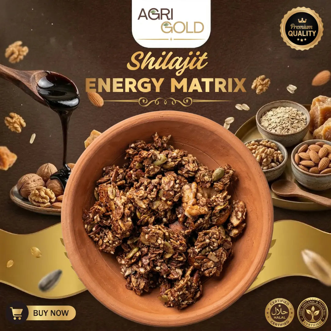 Shilajit Energy Matrix