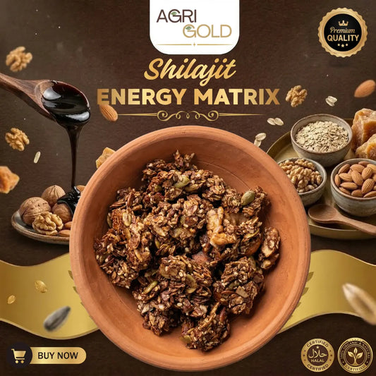 Shilajit Energy Matrix